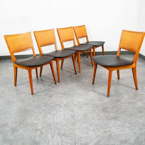 Mid century modern - modern, dining