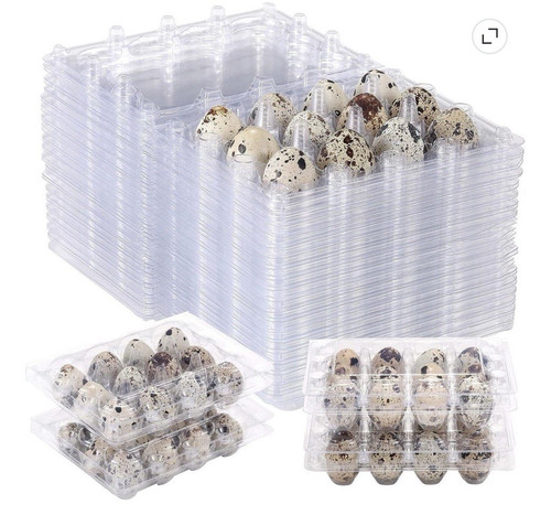 50pcsclear plastic egg cartons - egg,
