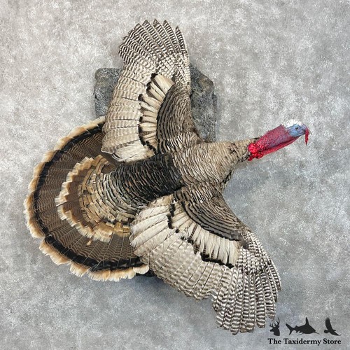 28500 sweet grass turkey - sweet,