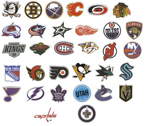 Nhl hockey vinyl decal - nhl,