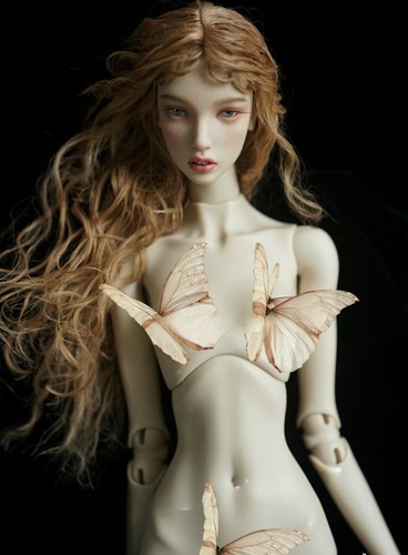 Bjd doll with - 1/4, sd