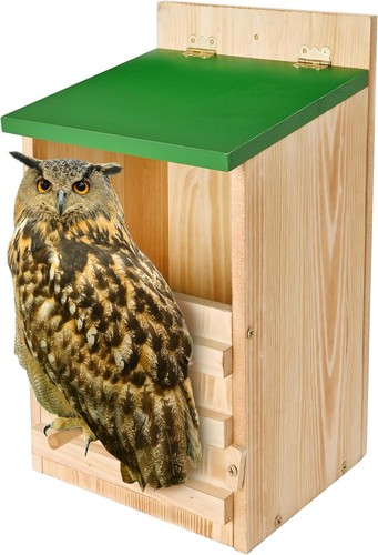 Owl house premium cedar - premium,