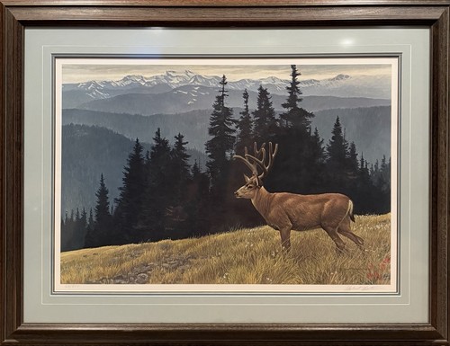 Robert bateman black tailed - robert,