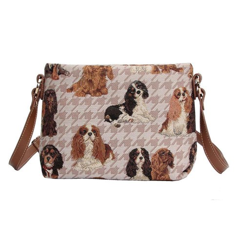 King charles cavalier - king, spaniel