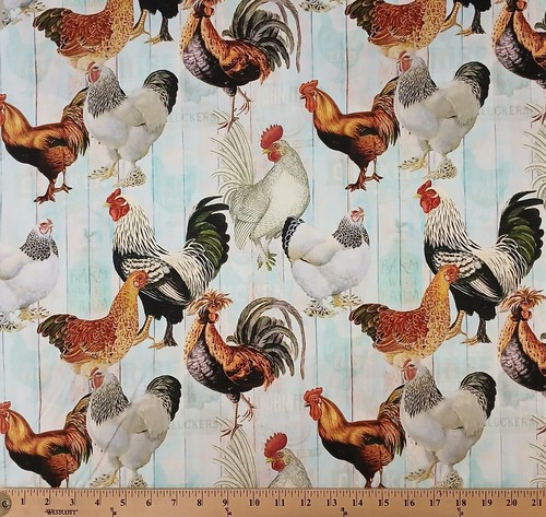 Cotton farm chickens roosters - cotton,