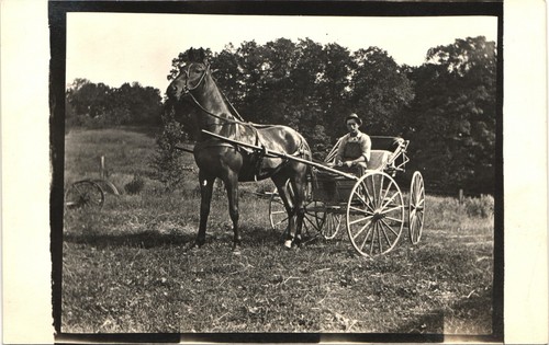 Horse drawn carriage antique - horse-drawn,