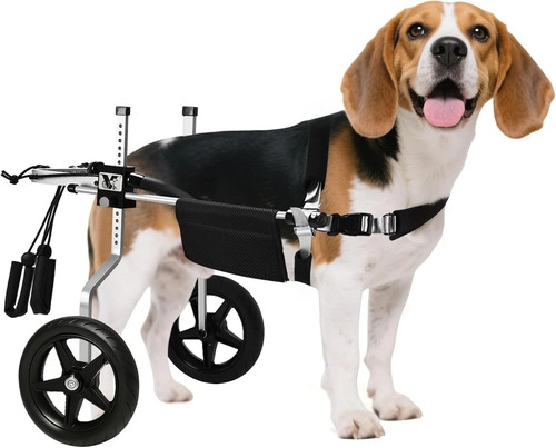 Virbraroo medium dog - medium,