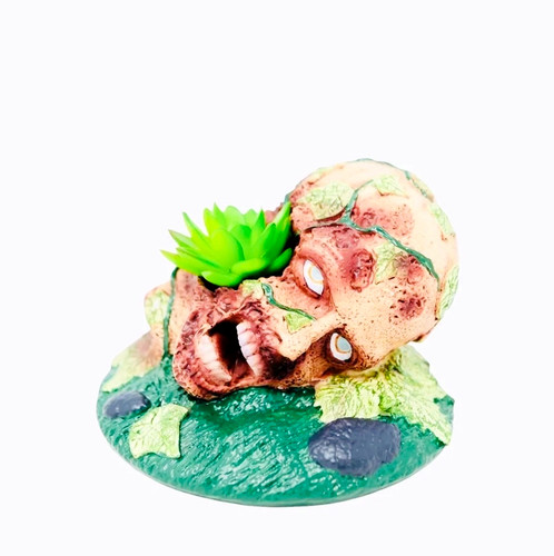 Zombie walker succulent - walker,