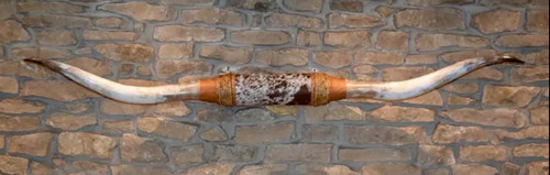 Authentic mounted longhorn - mounted,