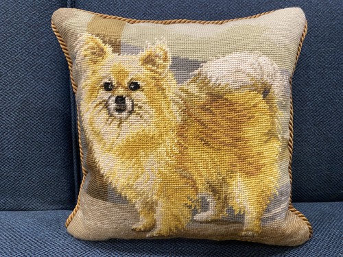 Gorgeous vintage pomeranian - gorgeous,