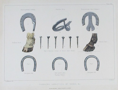 Old antique print - print, farriery