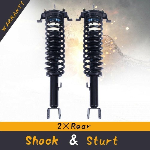 Pair rear strut - strut, w/