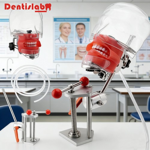 Dental training simulator - dental,