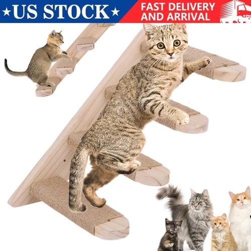 Cat stairs four step - cat,