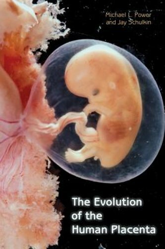 The evolution - of,
