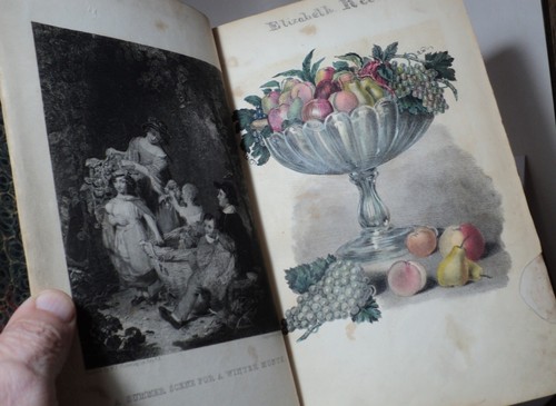 Godey lady book 1845 - lady's,