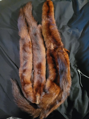 Vintage piece whole mink - 5,