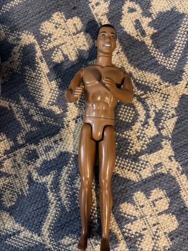 Black african american ken - black,