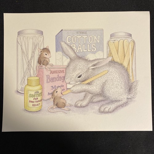 House mouse rabbit doctor - house,