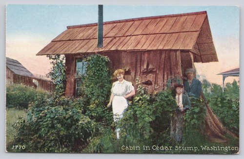 Vintage cabin cedar - vintage,