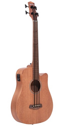 Gold tone bass25fl - gold, fretless