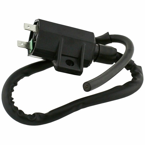 Ignition coil for - ignition,