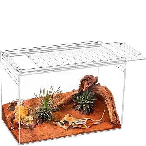 20x15x10cm reptile terrarium - reptile,