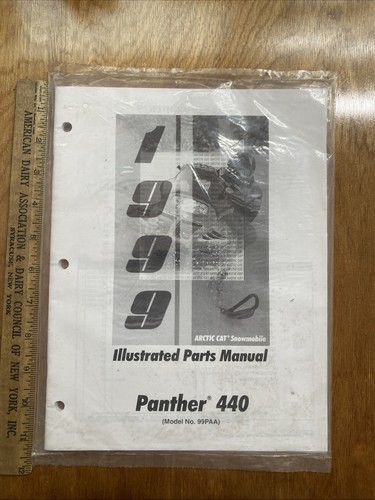 1999 arctic cat panther - 1999,