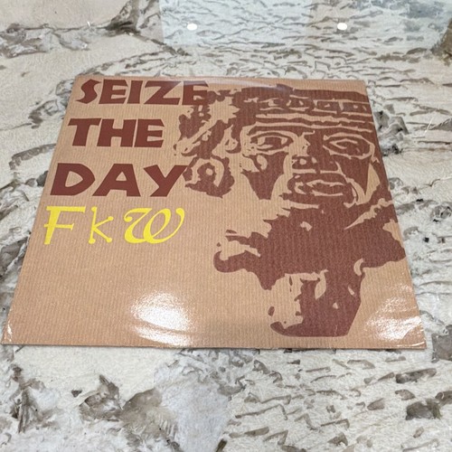 Fkw seize the day vinyl - fkw,