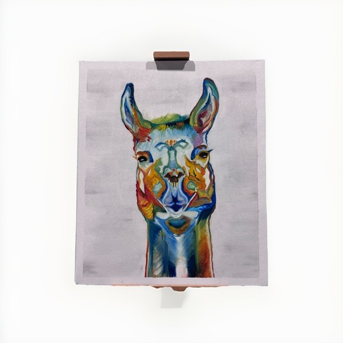 Rainbow colorful llama animal - colorful,