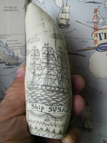 Scrimshaw sperm whale tooth - scrimshaw,