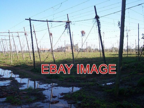 Photo beauchamp court callow - ,