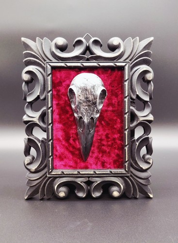 Gothic bird skull wall - skull, decor