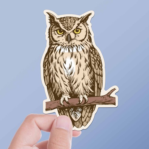 Great horned owl - owl, birdwatching