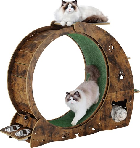 4in1 cat wheels for indoor - 4in1,
