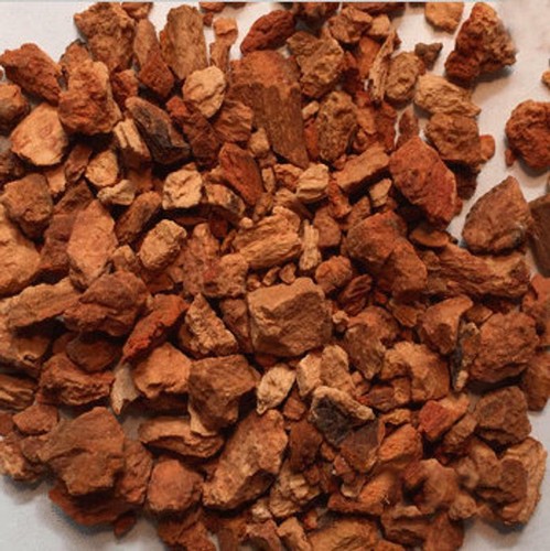 Organic cinchona bark dried - cinchona,
