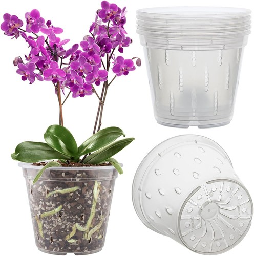 Orchid pot pack - orchid,