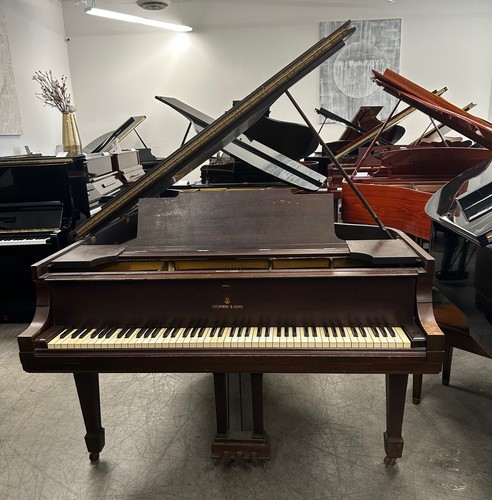 Steinway grand piano - m,