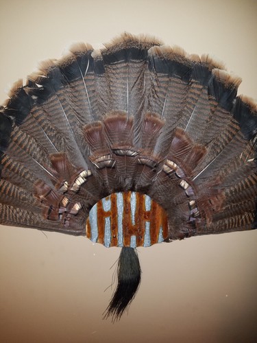 Turkey fan and beard mounting - fan,