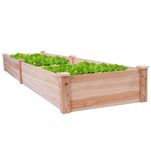 Solid cedar wood 2 ft - x,