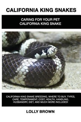 California king snakes - california,