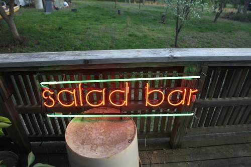 Commercial neon sign salad - commercial, bar