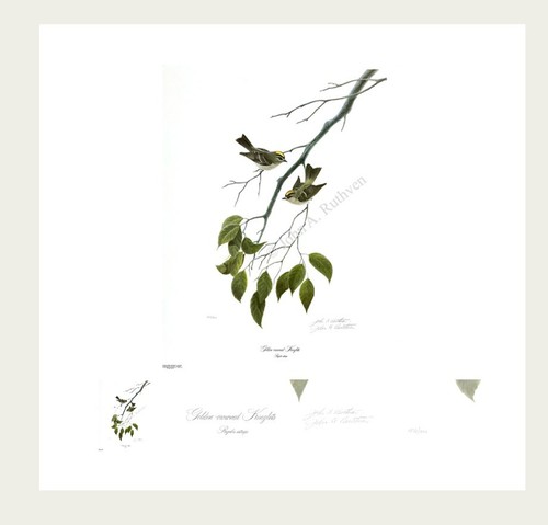 Lithograph prints john - lithograph,