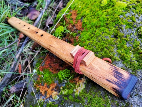 Native american oak - native,
