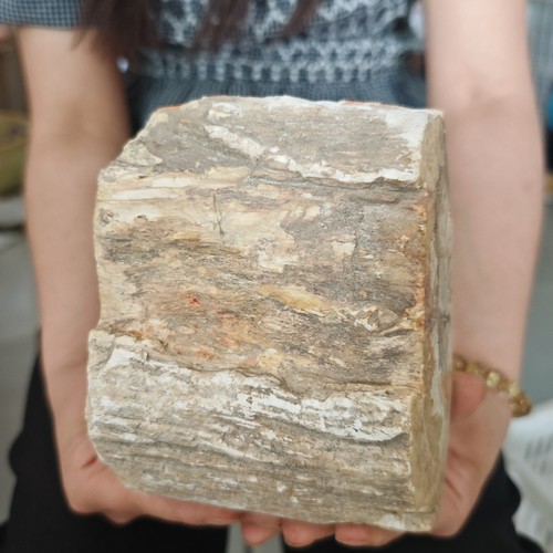 84lbnatural jurassic tree - jurassic,