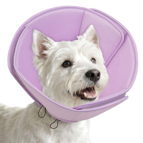 Dog cones for medium - cones,