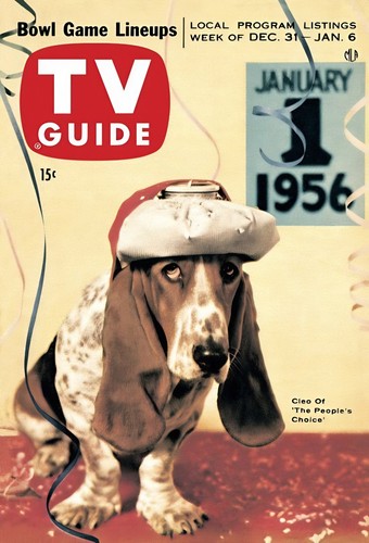 Cleo the basset hound 1955 - basset,