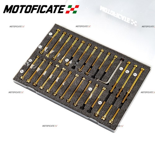 Engine hood chain - engine, cover