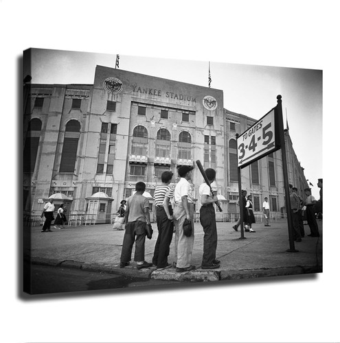 Boys staring the yankees - boys,