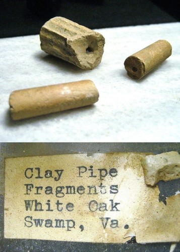 White oak swamp - white,